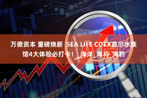 万德资本 重磅焕新 SEA LIFE COEX首尔水族馆4大体验必打卡!_海洋_海马_海豹