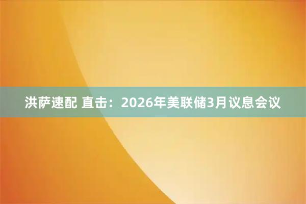 洪萨速配 直击：2026年美联储3月议息会议