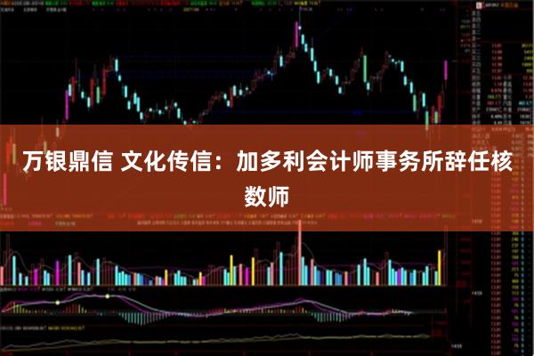 万银鼎信 文化传信：加多利会计师事务所辞任核数师