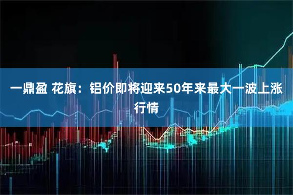 一鼎盈 花旗：铝价即将迎来50年来最大一波上涨行情