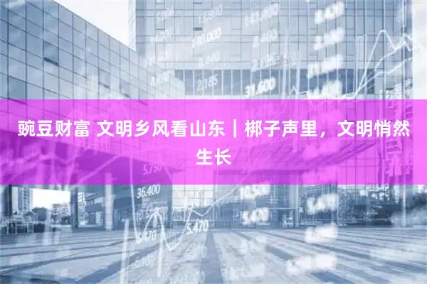 豌豆财富 文明乡风看山东|梆子声里,文明悄然生长
