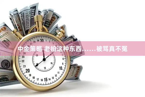 中金策略 老拍这种东西……被骂真不冤